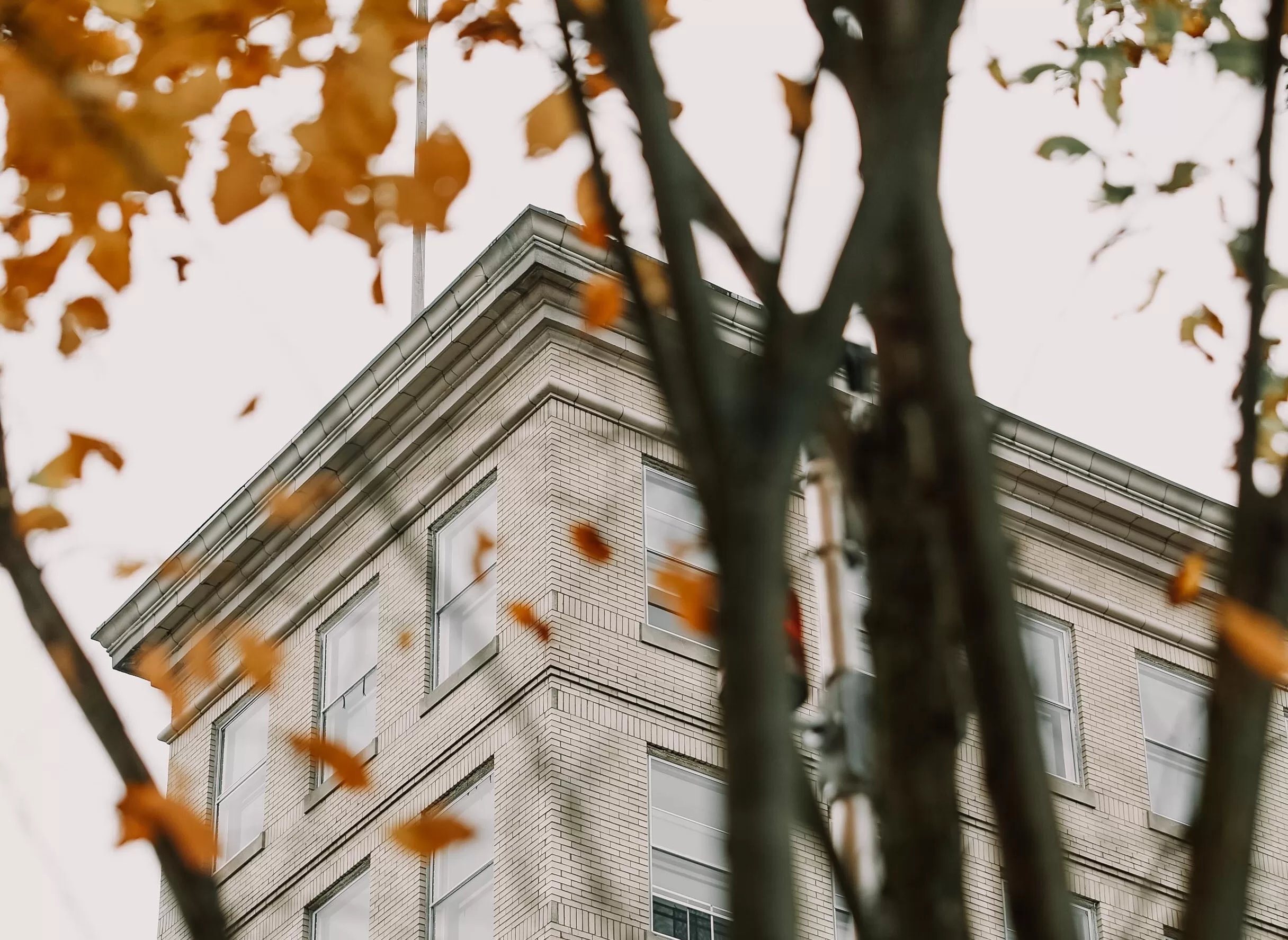 Corner of building seen through autumn leaves.